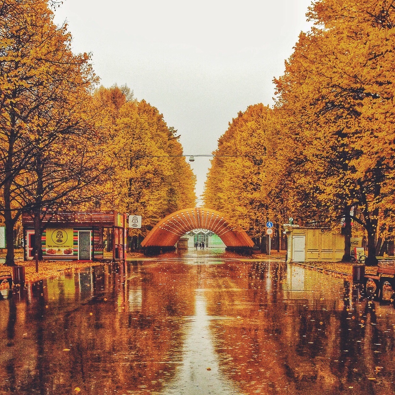 Парк Сокольники осень
